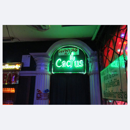 Cactus