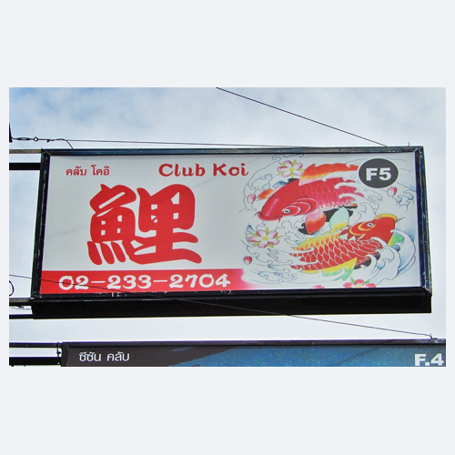 クラブ鯉
